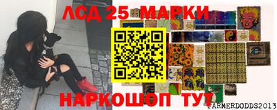 mdma Гай