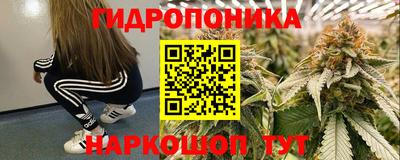 mdma Гай