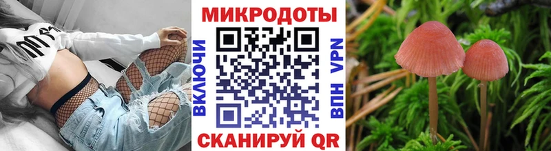 что такое наркотик  mega как войти  Псилоцибиновые грибы Psilocybine cubensis  Тула 