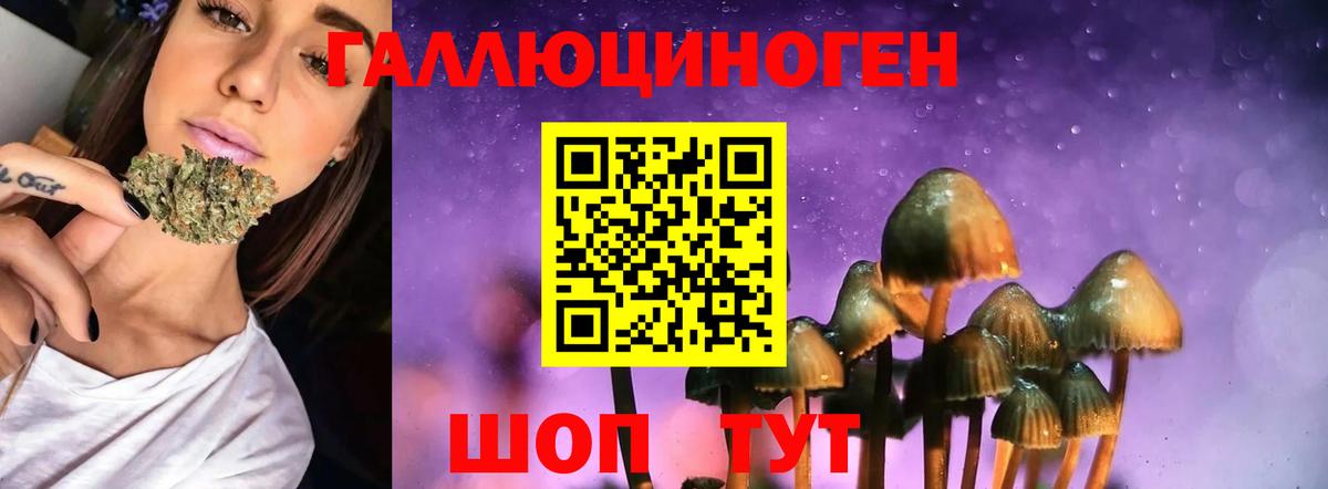 Псилоцибиновые грибы Psilocybine cubensis Тула