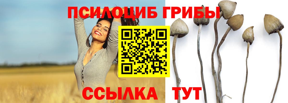 магазин  наркотиков  Вход с VPN  Тула  Псилоцибиновые грибы мухоморы  Псилоцибиновые грибы прущие грибы 